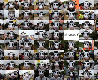 APRES LA FERME DES MILLE VACHES CELLE DES 1200 TAURILLONS