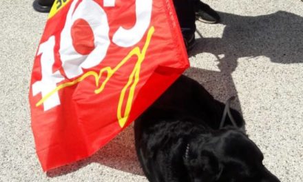 Chronique d’une action anti-loi travail, de Mulhouse à Colmar