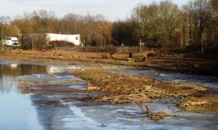 MASSACRE AU BORD DE L’ILL!