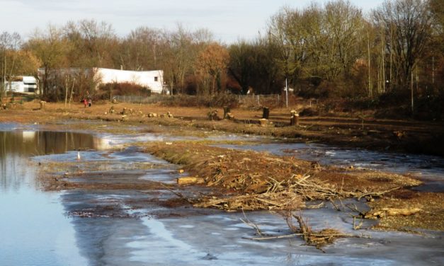 MASSACRE AU BORD DE L’ILL!