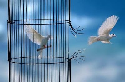 Six chroniques contre l’air du temps