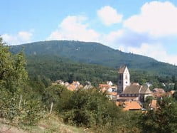 Wattwiller: « Grand pré », intérêt général, intérêts de quelques uns….