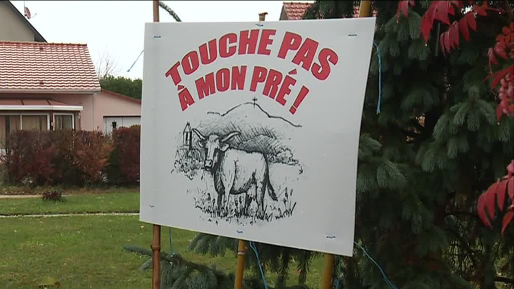 PLU de Wattwiller: sauvegarde du « grand pré »