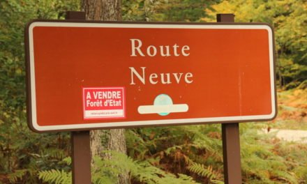 L&rsquo;arbre qui cache le malaise, à l&rsquo;office national des forêts