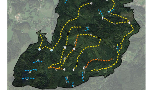 Un projet de desserte forestière menace le massif du « Sprickelsberg »