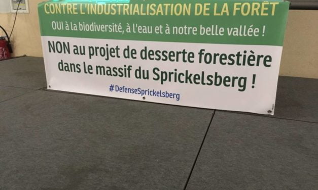 Entre Kirchberg et Dolleren, des têtes de bois contre le collectif de défense du Sprickelsberg