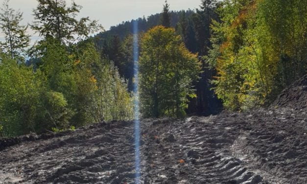 Forêt du Sprickelsberg: les travaux de desserte ont commencé, les opposants amplifient leurs actions