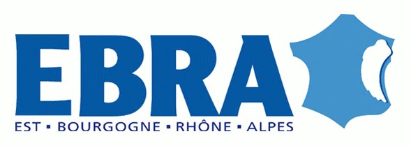 De Strasbourg à Mulhouse et dans L&rsquo;Est, une presse régionale en situation de monopole : retour sur les causes d&rsquo;une indigence démocratique – Partie 1