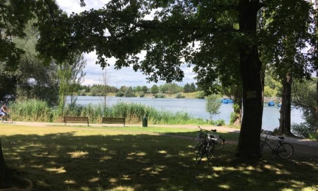 Ballade photographique à Freiburg im Breisgau, où les arbres apostrophent les passants au bord d&rsquo;un lac ressuscité