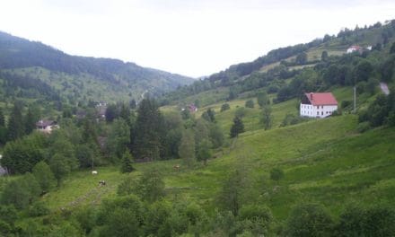 SOS massif des Vosges !