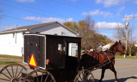 Le « contre-modèle Amish » brandi par Macron : depuis l&rsquo;Alsace jusqu&rsquo;aux USA, retour sur une communauté défricheuse d&rsquo;un futur soutenable