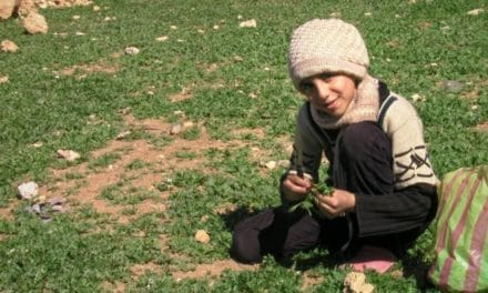 Sur le documentaire « Little Palestine » projeté au cinéma Bel Air de Mulhouse