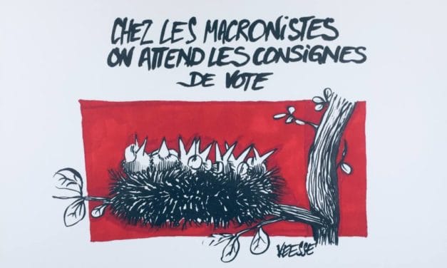 Législatives dans la 5° circonscription de Mulhouse : des quartiers en retrait et une municipalité qui pompe…