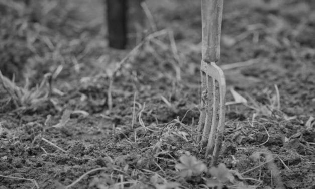 A Wihr-au-val, près de Colmar et Mulhouse, on naturalise le combat contre l’artificialisation des terres…