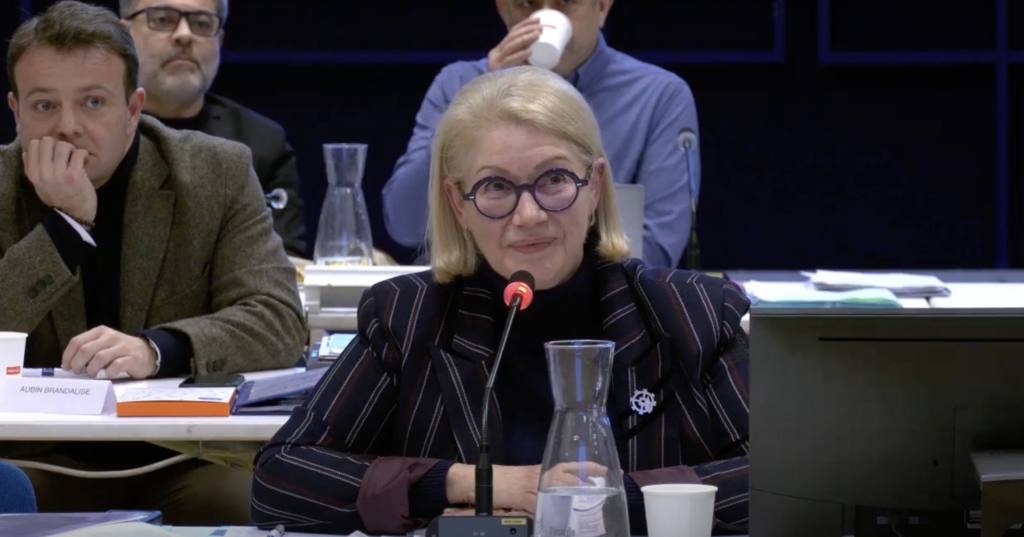 Conseil municipal de Mulhouse : la démocratie locale à l&rsquo;épreuve de la violence et de la caricature