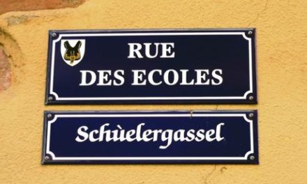 Bilinguisme en Alsace : quand la cigogne est mangée par la grenouille…