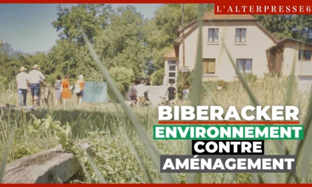 A Colmar, Biberacker environnement contre « Biberacker aménagement »