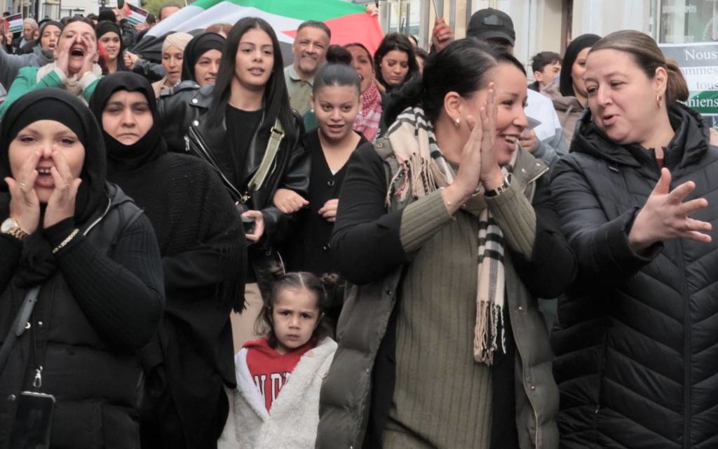 Manifestation en défense des Palestiniens à Mulhouse