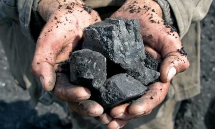 Bade-Wurtemberg : un chemin de longue haleine pour atteindre la neutralité carbone…