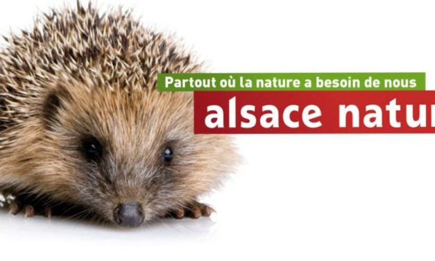 Stocamine : recours en annulation déposé par Alsace Nature et assurances en « marbre » sur la réversibilité…