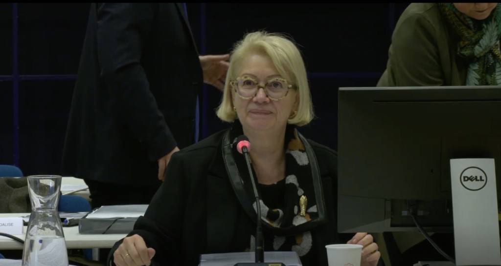Conseil municipal de Mulhouse : une maire sans étiquette, subventions aux écoles privées, et coussin berlinois péteur pour le RN…