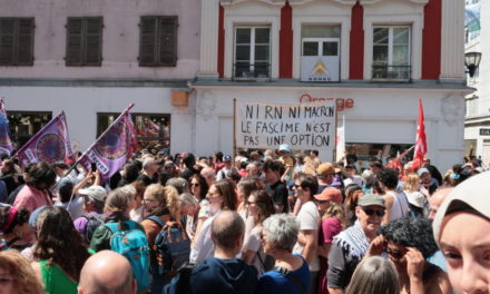 A Mulhouse, un millier de manifestants contre l&rsquo;extrême-droite au pouvoir