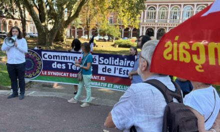 Rassemblement contre le gouvernement Barnier à Mulhouse