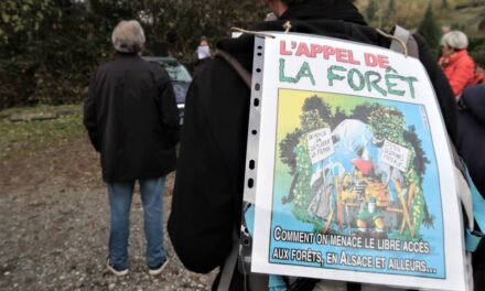 Une nouvelle marche pour la dépénalisation de l&rsquo;accès à la nature à Ermensbach près de Masevaux