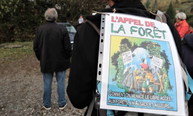 Une nouvelle marche pour la dépénalisation de l&rsquo;accès à la nature à Ermensbach près de Masevaux