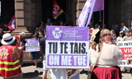 Devant le tribunal de Mulhouse, un rassemblement pour une « loi cadre intégrale » contre les violences sexuelles