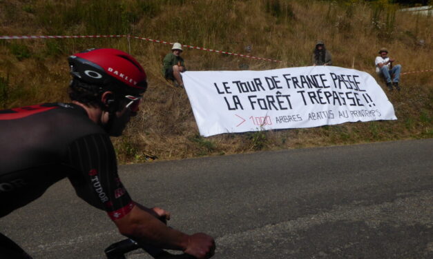 Étape Mulhouse-Markstein : abattage et piétinage sont-elles les deux mamelles du Tour de France ?
